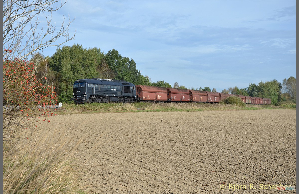 ... und fuhr 30 min spter wieder am B der 355 gemchlich nach Zawidw.  Leider erlitt sie bei der letzten Tour dieses Tages einen Lokschaden in Sulikw, so da mir mein sicher geglaubtes letztes Foto verhagelt wurde. 
