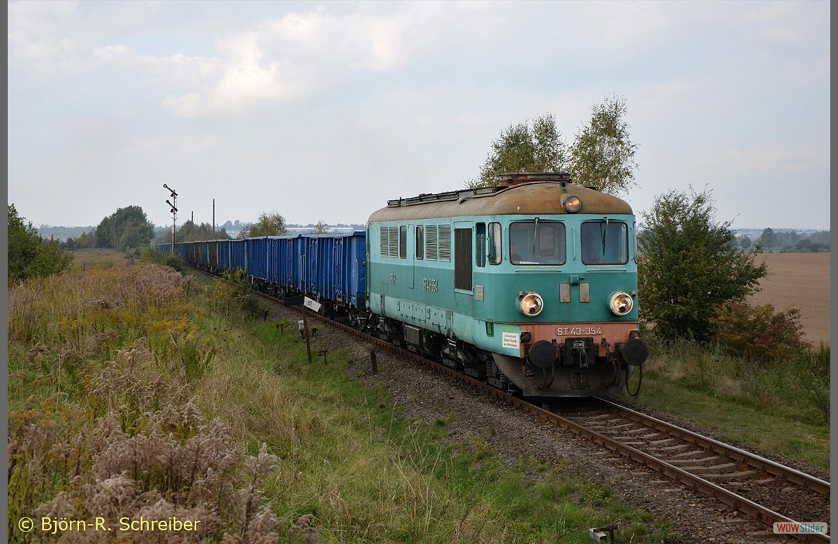 ST43 354 poltert am Nachmittag des 06.10. mit einem leeren Schotterzug nach Sulikw durch Jerzmanki. 