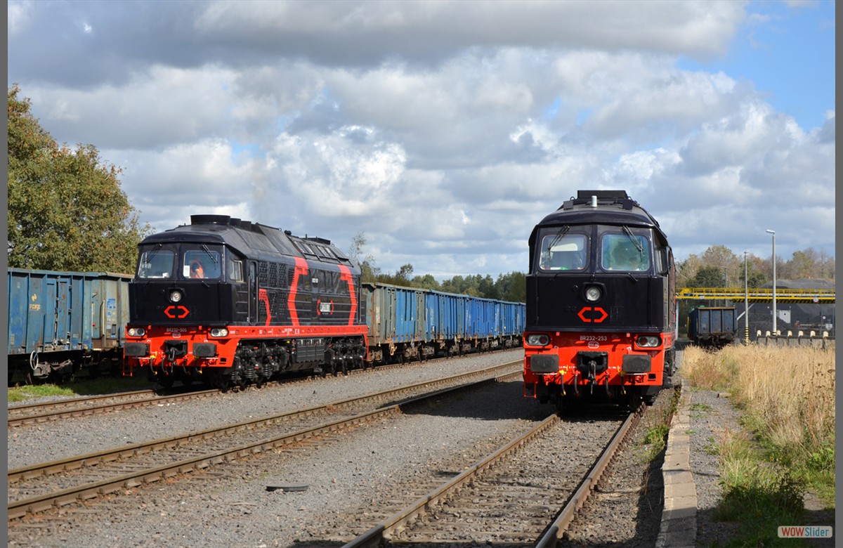 Beide Schnheiten nebeneinander in Sulikw.