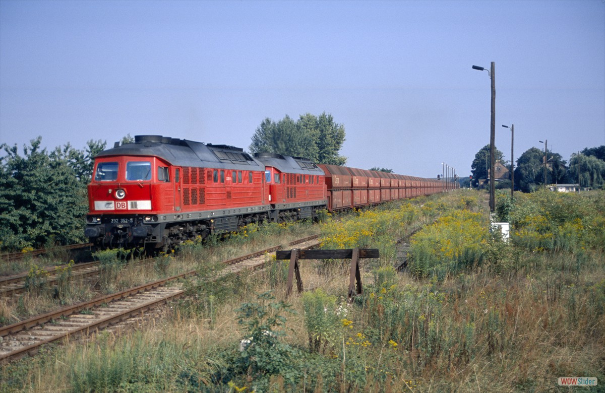 Im Gegensatz zum Mai stand das Unkraut im August schon ziemlich hoch. 232 352 und 245 durchfahren mit KC 63207 die grne Oase Prsten.